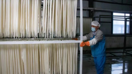 稅務賦能，非遺“活”起來 延邊稅務助力非物質文化遺產傳承與發展